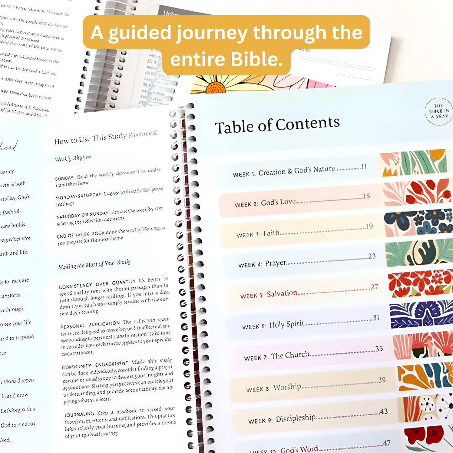 Grace-Paced™: Bible in a Year Journal