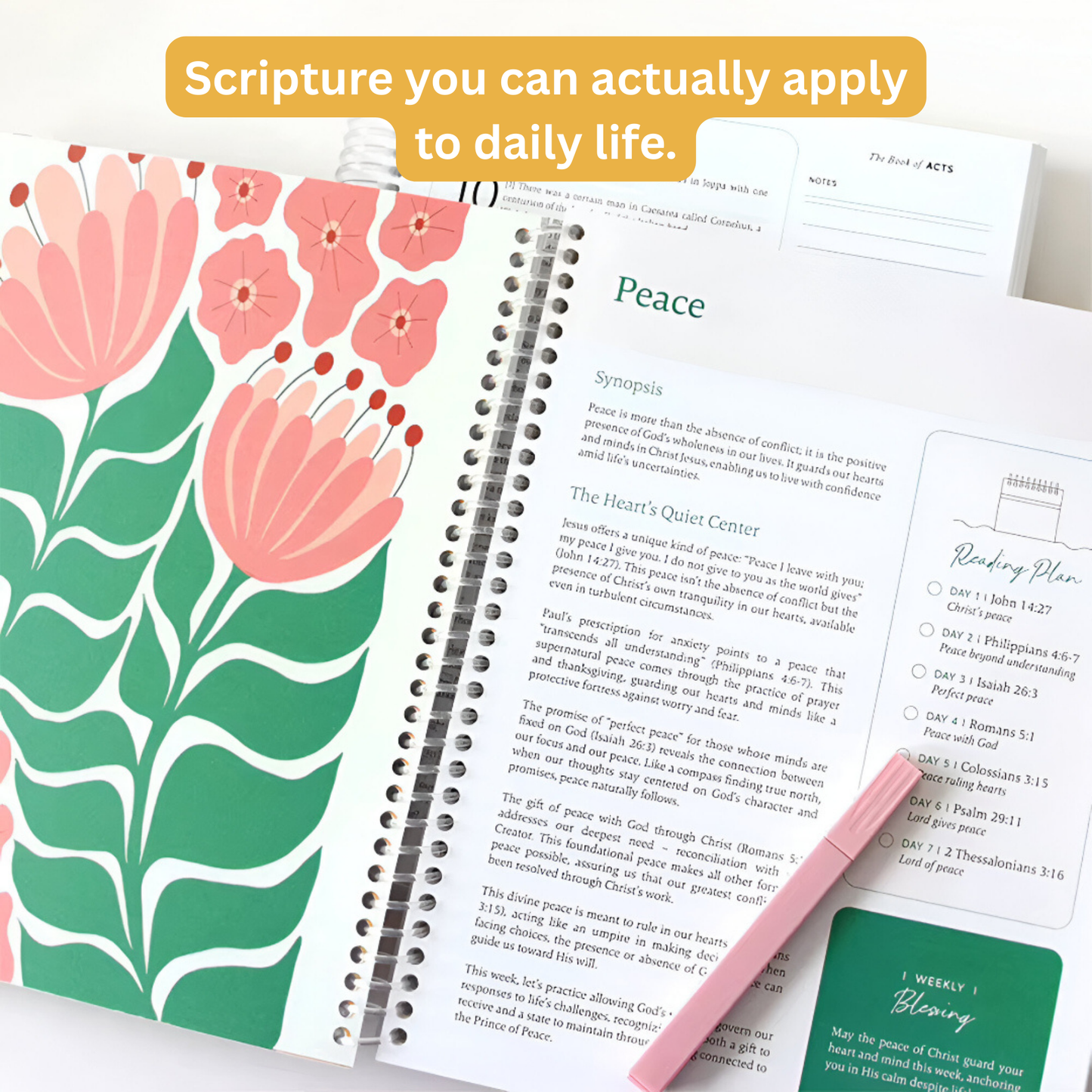 Grace-Paced™: Bible in a Year Journal
