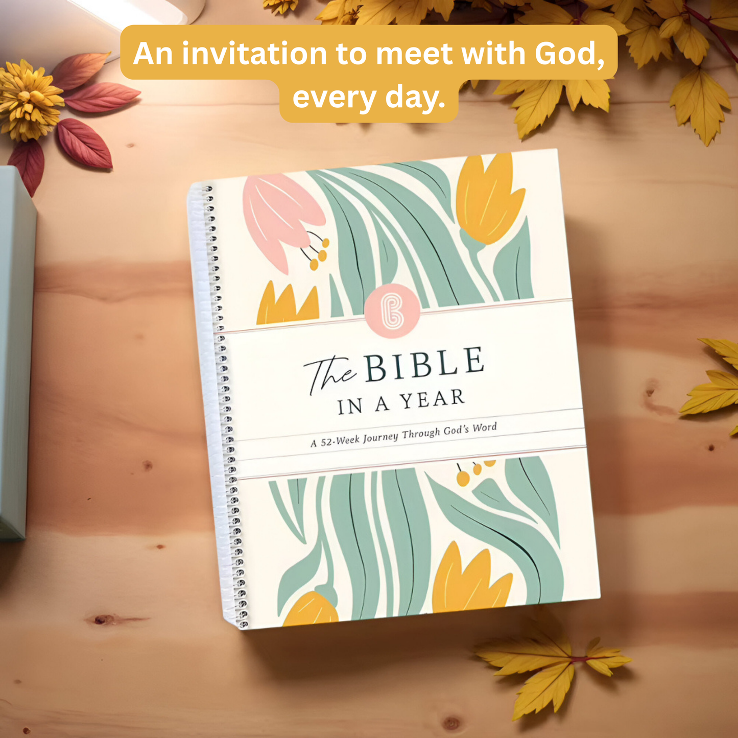 Grace-Paced™: Bible in a Year Journal