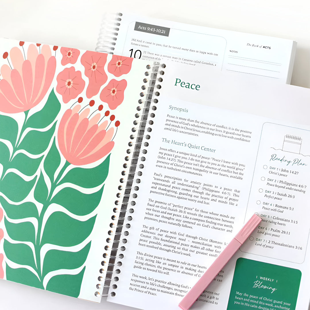 Grace-Paced™: Bible in a Year Journal