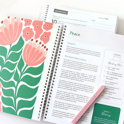 Grace-Paced™: Bible in a Year Journal