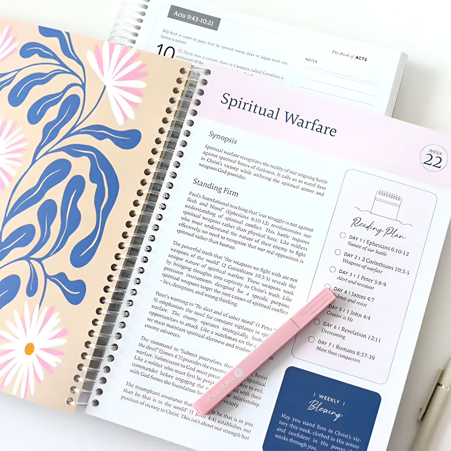 Grace-Paced™: Bible in a Year Journal