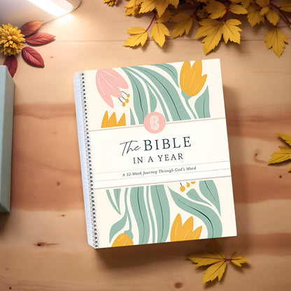 Grace-Paced™: Bible in a Year Journal